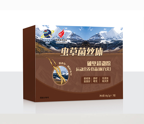 虫草菌丝体