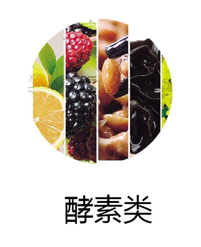 酵素类OEM贴牌代工定制