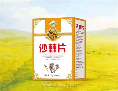 沙棘片  OEM贴牌代工定制