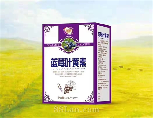 蓝莓叶黄素  OEM贴牌代工定制