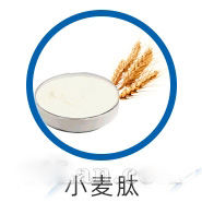 小麦肽原料供应