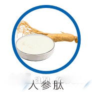 人参肽原料供应