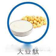 大豆肽原料供应
