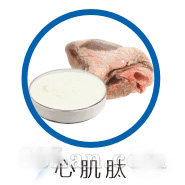 心肌肽原料供应