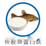 鱼胶原蛋白肽、蛋白肽原料供应