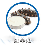 海参肽原料供应
