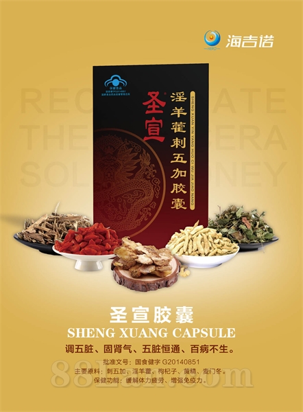 刺五加淫羊藿胶囊