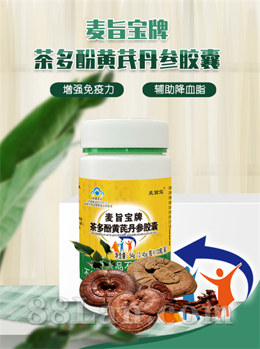 麦旨宝牌茶多酚黄芪丹参胶囊