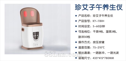 珍艾子午养生仪