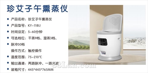 珍艾子午熏蒸仪