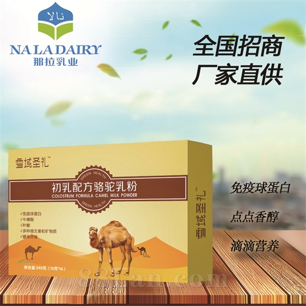 初乳配方驼乳粉 全国招商