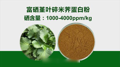 富硒堇叶碎米荠粉