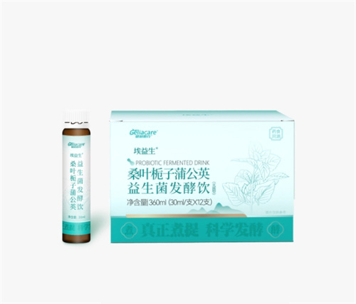 桑叶栀子蒲公英益生菌发酵饮